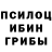 Галлюциногенные грибы Psilocybe uTROT