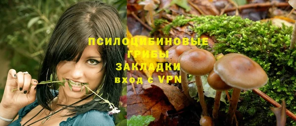 мдпв Арсеньев