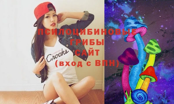 скорость Алзамай