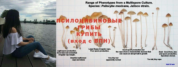 скорость Алзамай